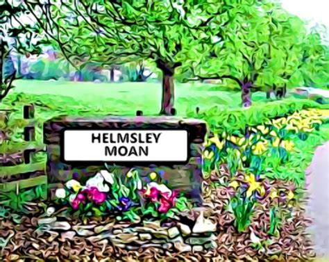 helmsley facebook|helmsley moan facebook page.